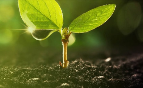 Imagen para los medios:  Estrategia comarcal de transición energética y adaptación climática